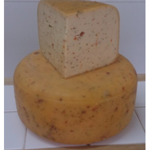 Gouda tomates/épices jeune