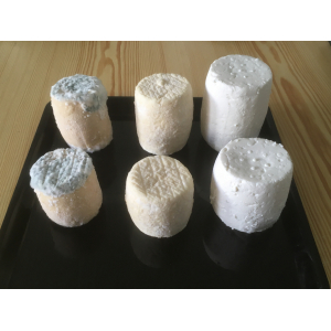 Grand vache mi frais