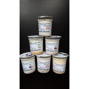 Panel n° 5 6 yaourts aux fruits