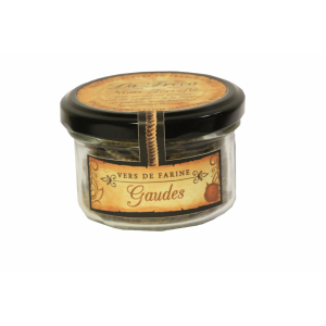 Vers de farine - saveur maïs torréfiés