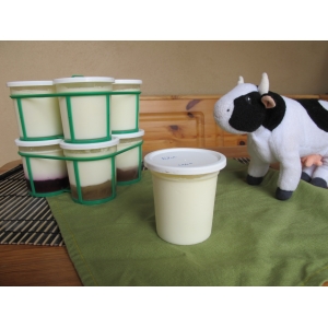 4 yaourts de chèvre nature