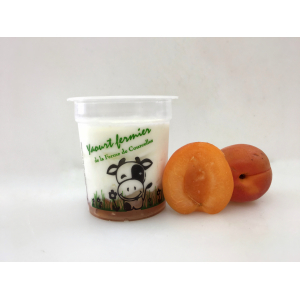 A*yaourt à l'abricot