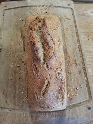 Pain complet (cuit du jour)