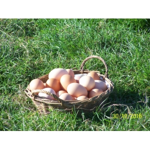 Boite de 6 oeufs de ferme