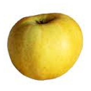 Pomme chantecler ( sachet 2kg)