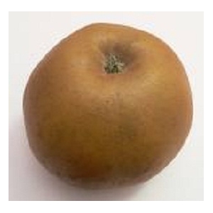 Pomme reinette  grise du canada ( 1kg)