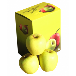 Jus de pomme 100% pur jus-fontaine 3l