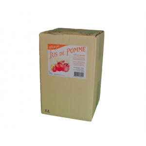 Jus de pomme 100% pur jus-fontaine 5l