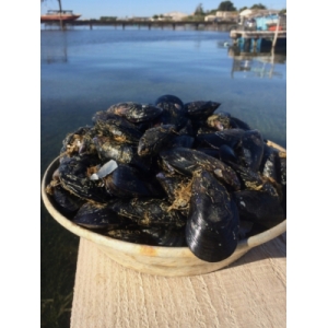 500gr moules de bouzigues
