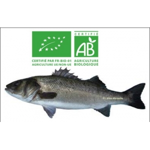 Colis pour  30 kilos loups  bio de 400/600 gr pièce