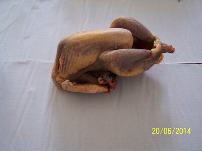 Pintade fermière 1.8 kg (+ ou - 100g)