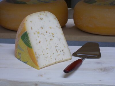 Gouda de vache avec fenugrec, 270-33