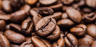 Café moka ethiopie en grains