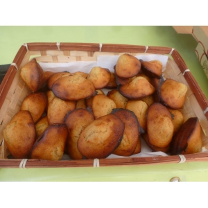 Madeleines au miel