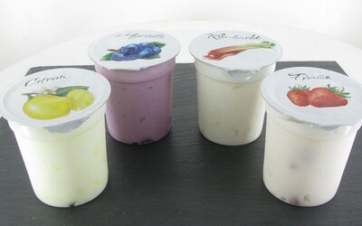 Yaourts fruits 4*125g au lait écrémé