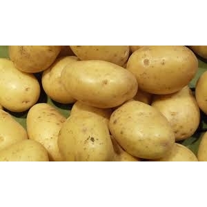 Pomme de terre charlotte