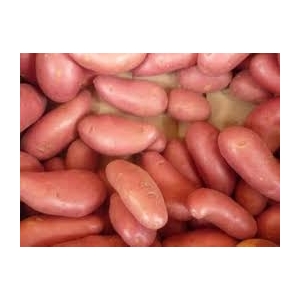 Pomme de terre cherie