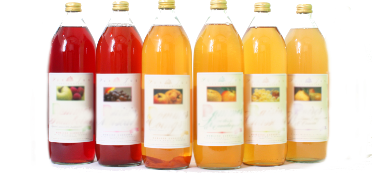 Jus de fruits Artisanal - L'arbre à jus 1L - Le Potager Coudoux