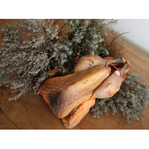 Pintade de 180 jours bio