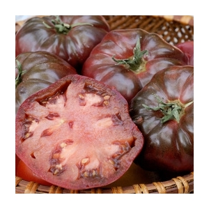 Plant tomate noir de crimée