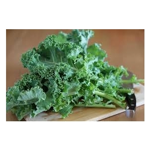 Plant de choux kale par 6