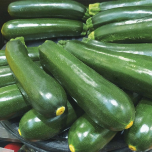 Courgettes vertes, moyenne, plein champ