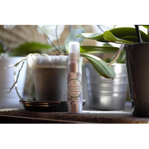 Rafraîchissant parfum d'ambiance 10