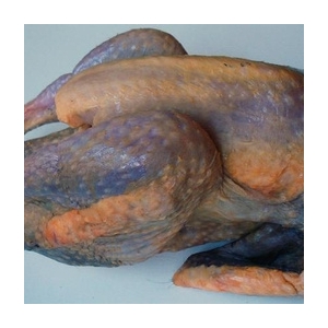 Pintade fermière 1 kg 700