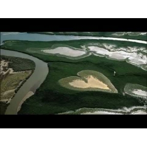 Veau coeur en tranche