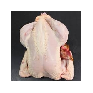 Poulet fermier excellin