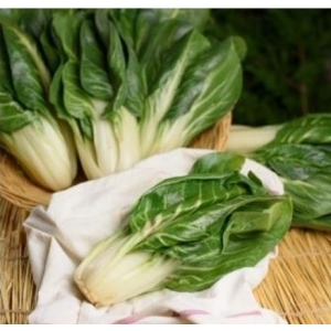 Blettes (ou bettes)-500g