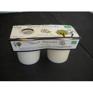 Yaourt nature x 2