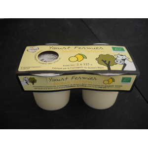 Yaourt citron x 2