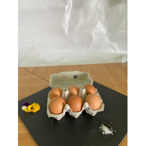 Oeufs fermiers plein air x6