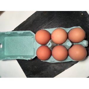 Oeufs fermiers volière x6