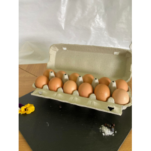 Oeufs fermiers plein air x12