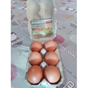 Plaque de 30 œufs bio - 30 u - Choisy Ton Oeuf 