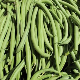 Haricots verts