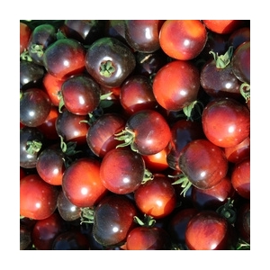 Tomate indigo