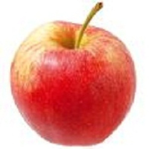 Pomme gala en sachet de 1kg.