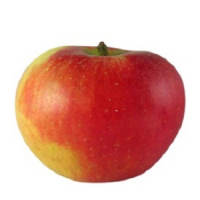 Pomme elstar en sachet de 3kg