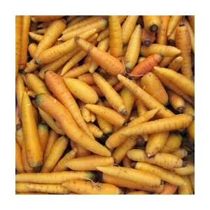 Carottes jaunes vrac