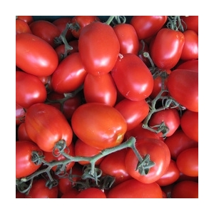 Tomates