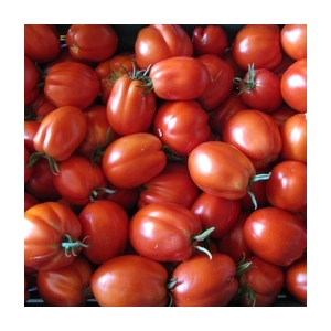 Tomates