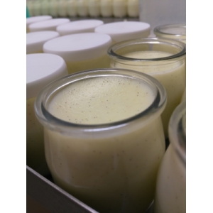 Semoule au lait à la vanille