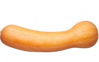 Courge de nice 1kg-à la coupe