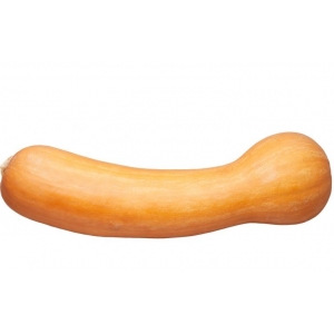 Courge de nice 1kg-à la coupe