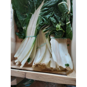 Blettes ;poirée; cardes ; joutes