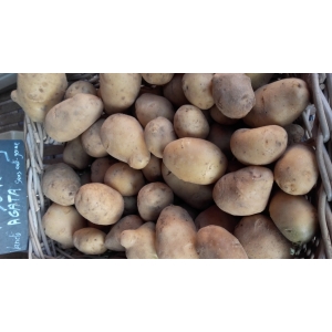 Pomme de terre