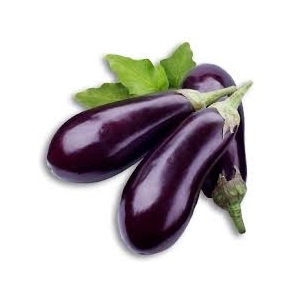Aubergine